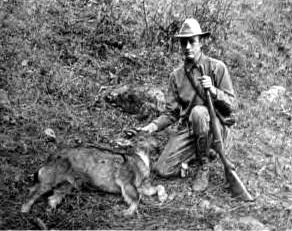 Roy Chapman Andrews Roy Chapman Andrews