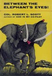 Between The Elephant's Eyes