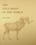 The Wild Sheep Of The World