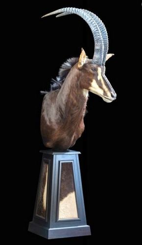 Sable Pedestal Mount
