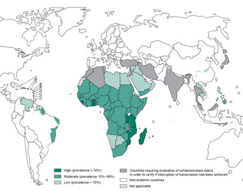 schistosomiasis map