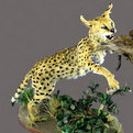 Serval Full Mount