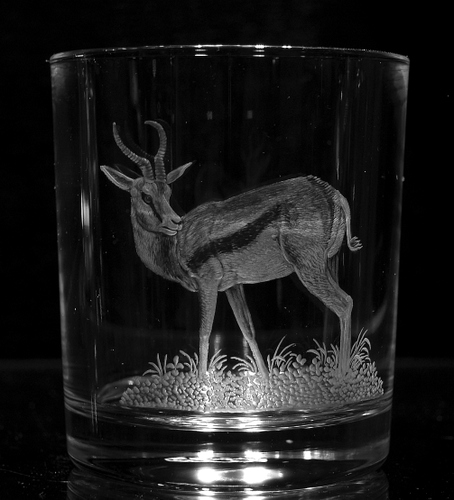 Crystal Glass Tumbler