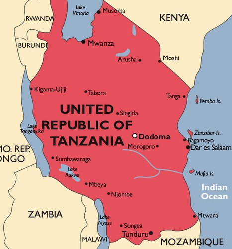 Tanzania Malaria Map