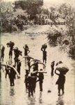 On The Trail Of The African Elephant