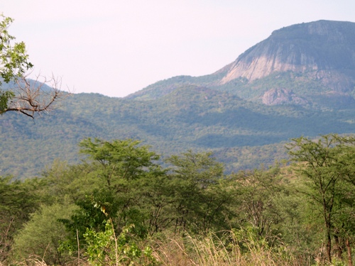 Uganda Exploratory Hunt Image Uganda Exploratory Hunt Image