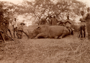 Vivienne De Watteville Vivienne De Watteville