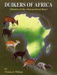 Duikers Of Africa - Masters Of The African Forest Floor