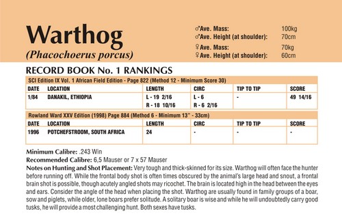 Warthog Records