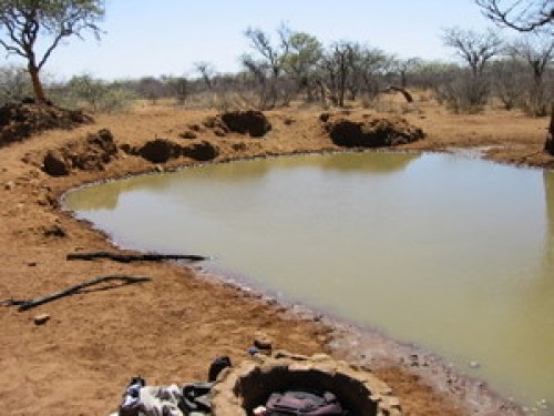 A Likely Waterhole