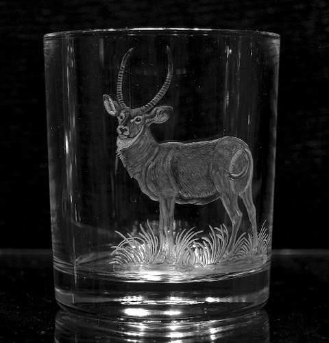 Crystal Glass Tumbler