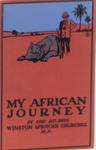 My African Journey