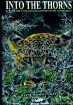 Into The Thorns: Hunting The Cattle-Killing Leopard Of The Marobo Hills