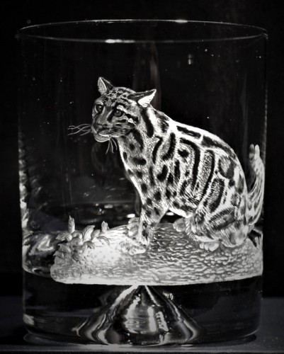 Crystal Glass Tumbler