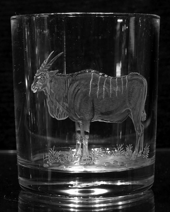 Wild African Animal Drink Glasses, Water Cup, Wine, Glassware