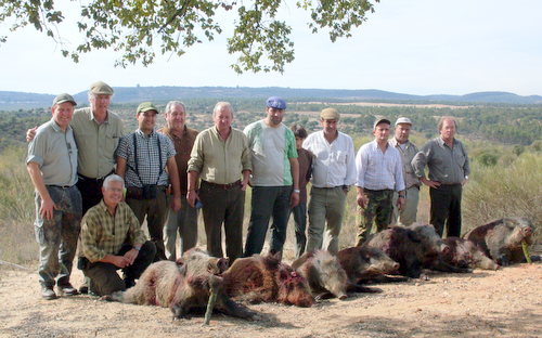 Wild Boar Hunting