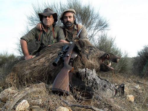 Portuguese Wild Boar