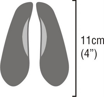 Blue Wildebeest Spoor