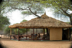 African Hunting Camps