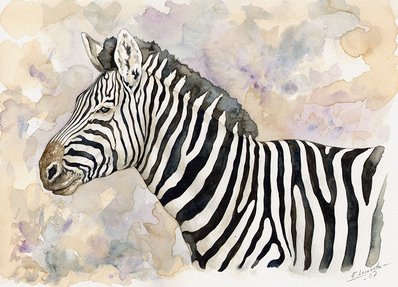 Zebra Watercolor 2