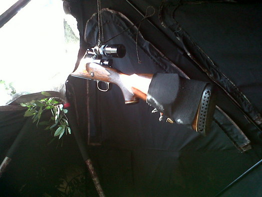 Zululand Leopard Hunt Zululand Leopard Hunt