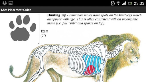 African Hunter Shot Placement App