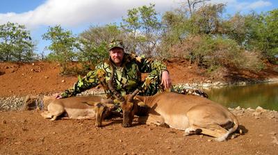 Two Impala out of a group