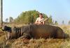 Hippo Hunting